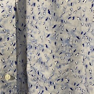 PENGUIN BUTTON DOWN